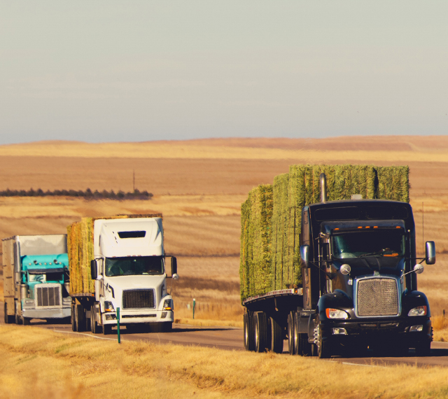 Long-Haul Trucking Commercial Insurance