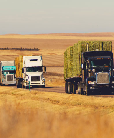 Commercial Trucking Newsletter
